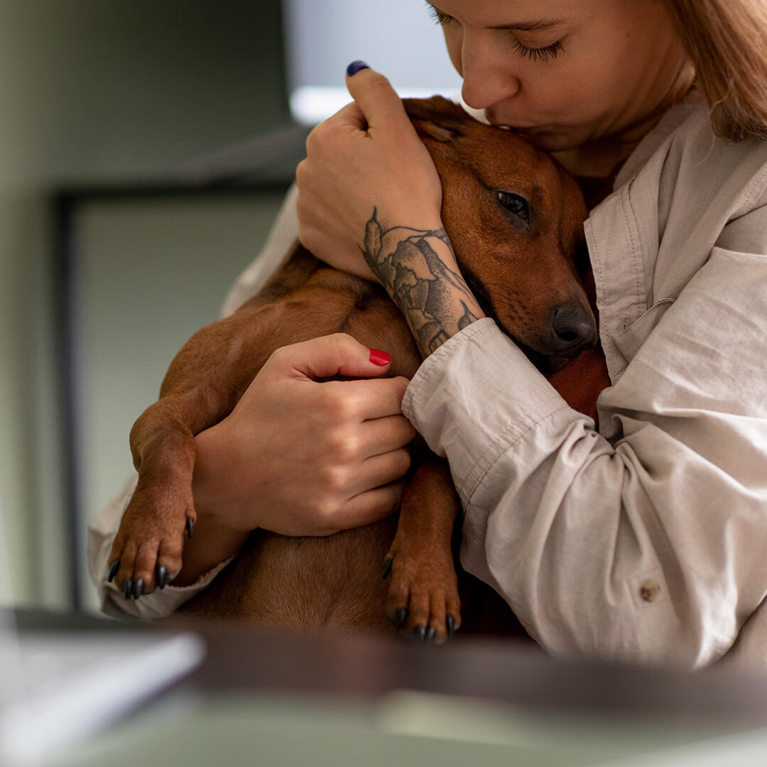 Woman hugging her brown dog