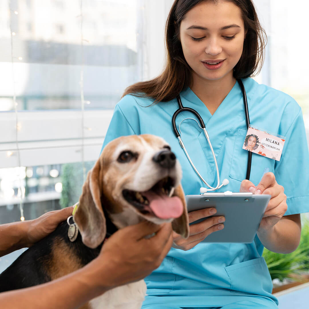 veterinarian taking notes during a beagle's checkup