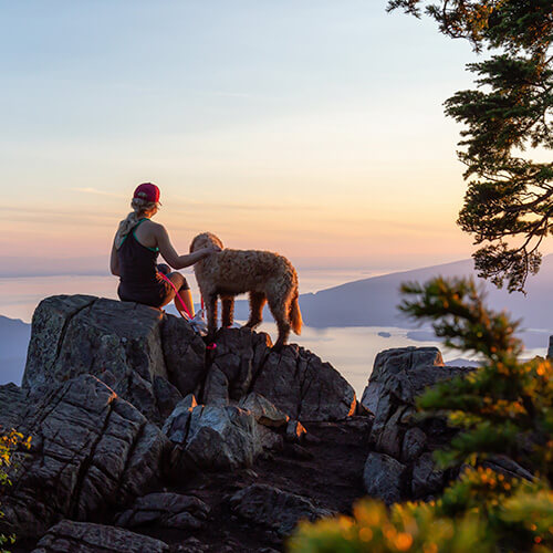 dog and owner out on a hike