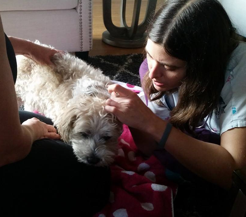 Dr. May examining a dog’s ear